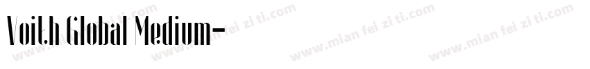Voith Global Medium字体转换